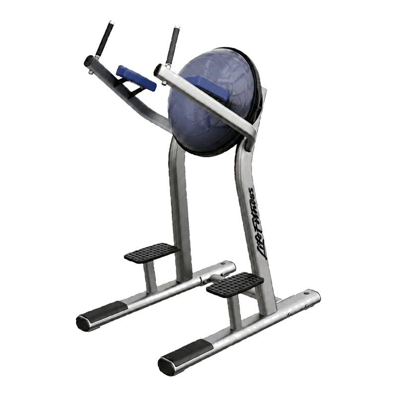 Life Fitness Leg Raise (Remanufactured)