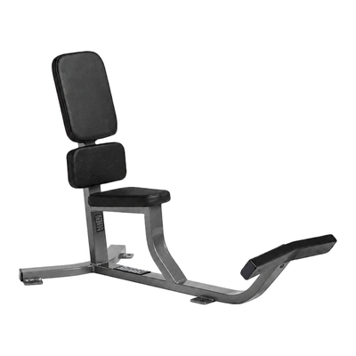 Hammer Strength Upright Bench gray frame black upholstery, complete background delete