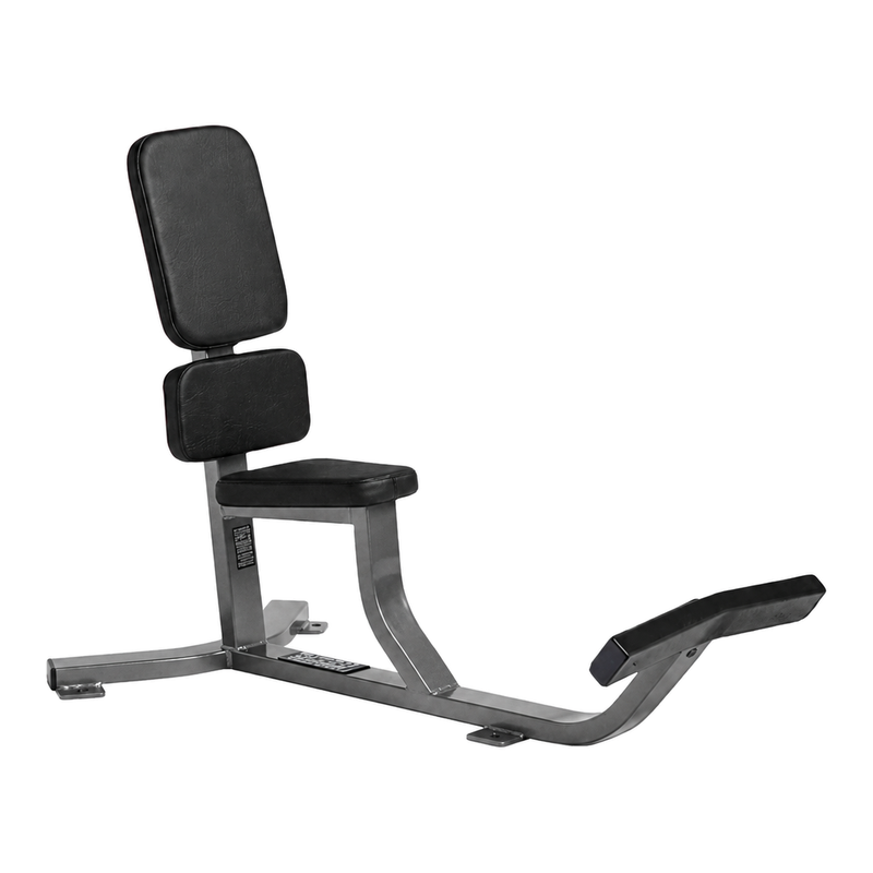 Hammer Strength Upright Bench gray frame black upholstery, complete background delete
