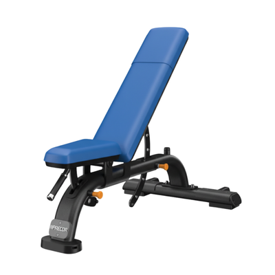 Precor Discovery Series Adjustable Bench