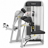Cybex Eagle Arm Curl (Remanufactured)