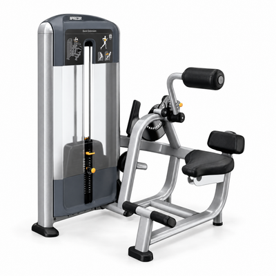 Precor Discovery Series Back Extension