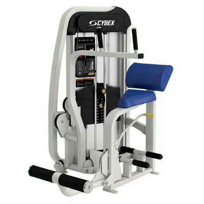 Cybex Eagle NX Abdominal silver frame transparent