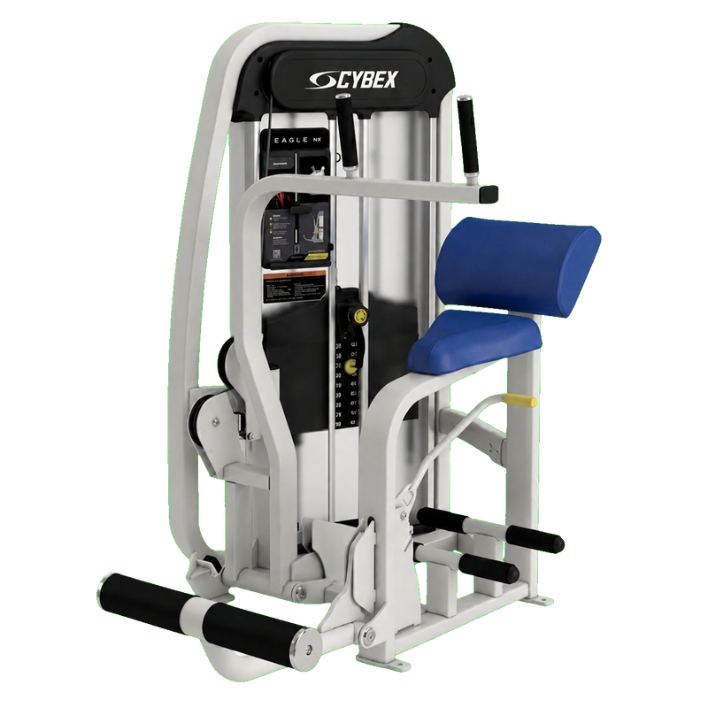 Cybex Eagle NX Abdominal silver frame transparent