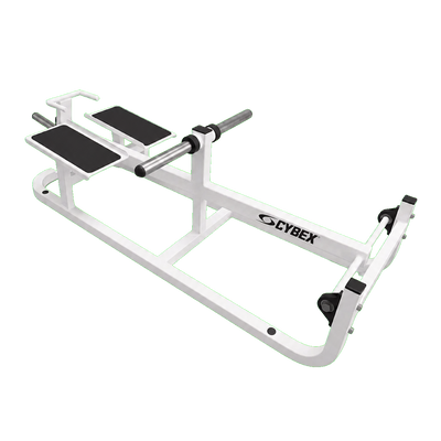 Cybex Plate Loaded T-Bar Row white frame transparent